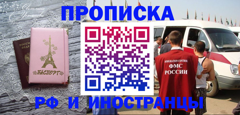 прописка поиск в Дмитрове